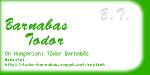 barnabas todor business card
