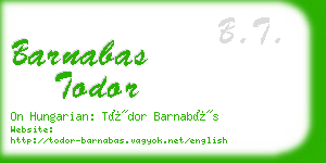 barnabas todor business card